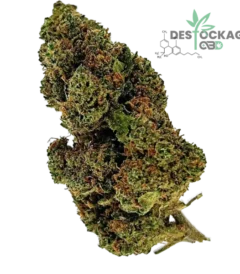 Accueil 45 Strawberry