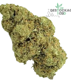 Accueil 47 white widow cbd